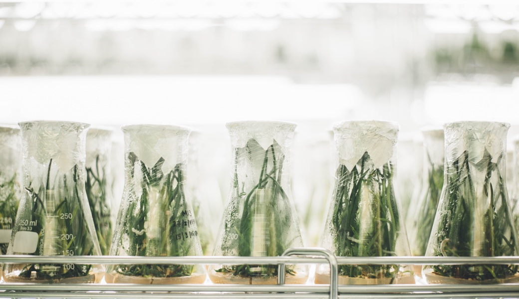 How To Run Experiments That Make Your Brand Grow (Free Template)
